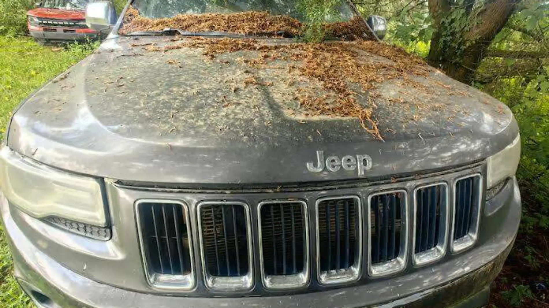 camioneta jeep